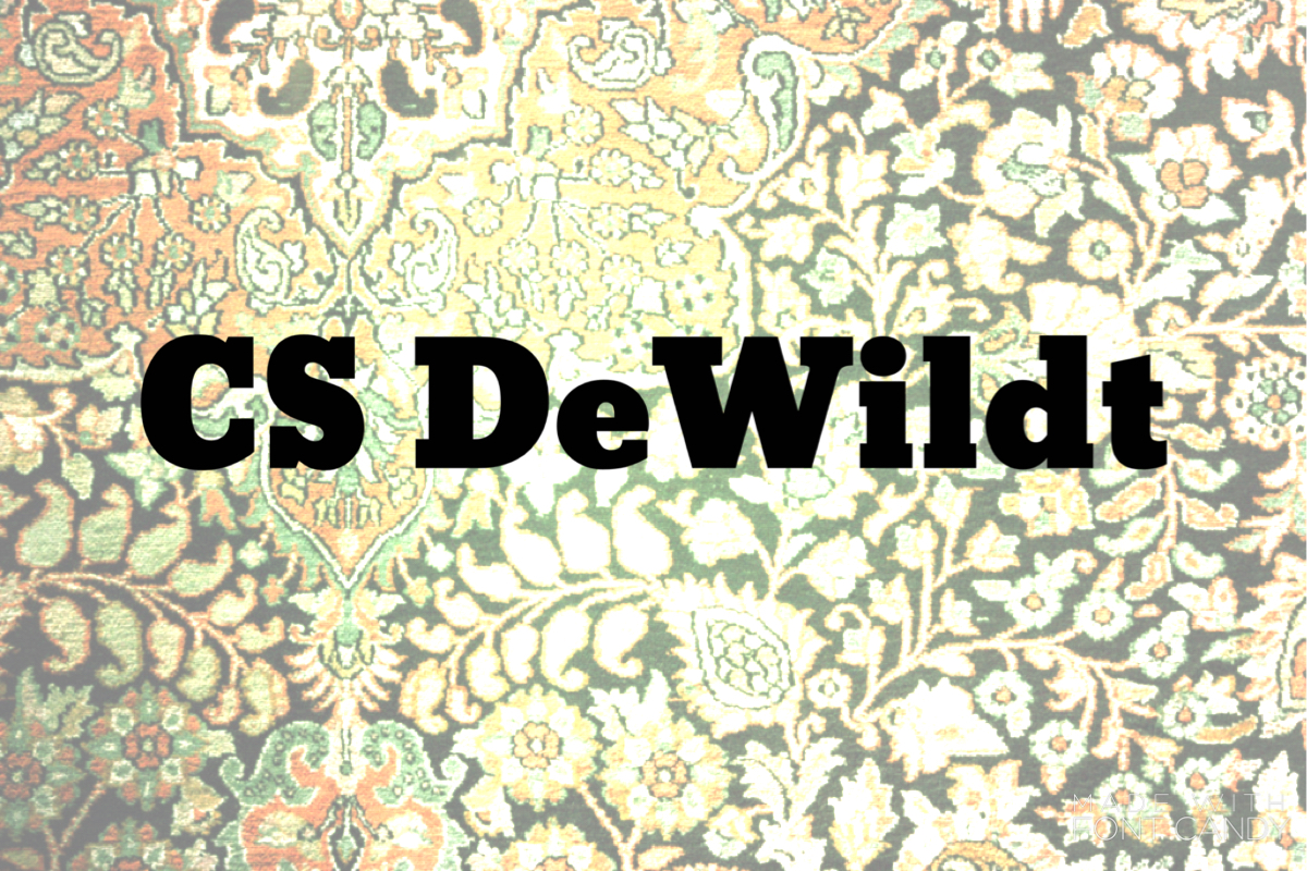 CS DeWildt – Conversation No. 9